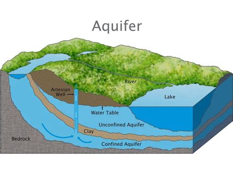 Image result for aquifer worksheet label | Groundwater, Geology, Water