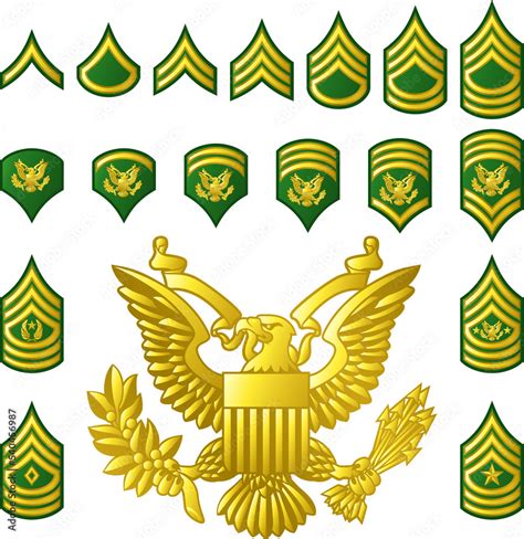 Military Army Enlisted Ranks Insignia Stock Illustration | Adobe Stock