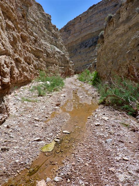 Shallow stream: Wittwer Canyon, Santa Clara River Reserve, Utah