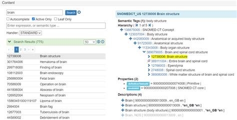 Terminology Server Solutions — Expert Healthcare Terminology Solutions