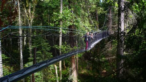 Greenheart TreeWalk | Family Fun Vancouver