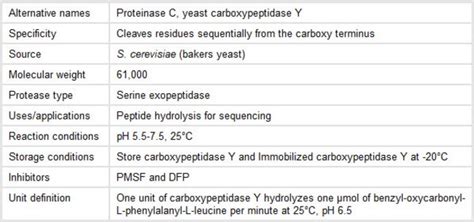 Carboxypeptidase Y - Thermo Fisher Scientific