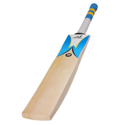 Woodworm Cricket IB Select Grade 1 Junior Cricket Bat - Harrow | eBay