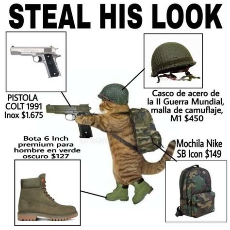 Gato soldado del ejército de Vietnam - Meme subido por 2r._ :) Memedroid