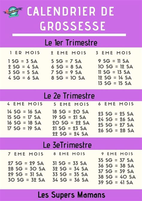 Calendrier de Grossesse : l'Essentiel en 1 Clic | Les Supers Mamans