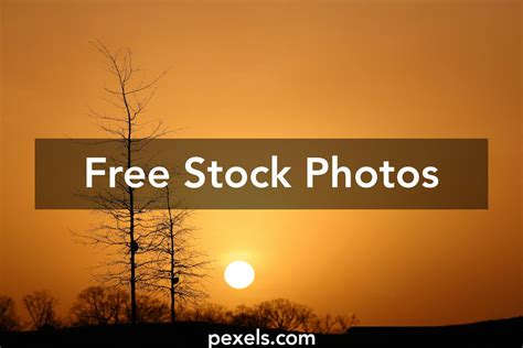 Sunrise Trees Photos, Download The BEST Free Sunrise Trees Stock Photos & HD Images