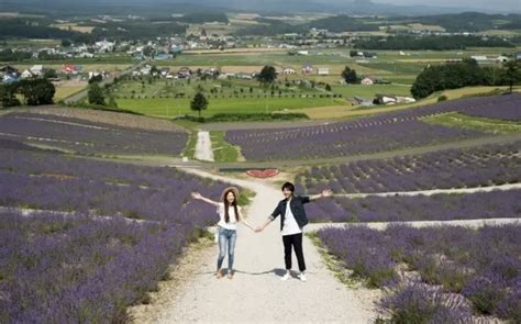 Hokkaido lavender fields: 6 best places in Furano to see Japan’s ...