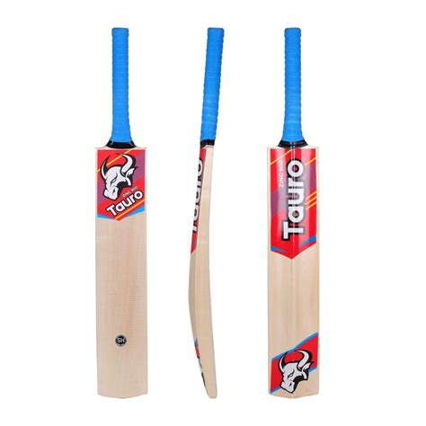 Top 15 Best Cricket Bat Brands 2024