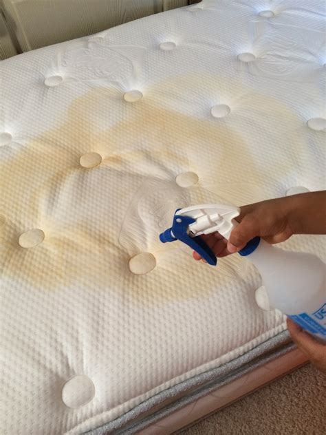 How to Remove Urine from a Mattress