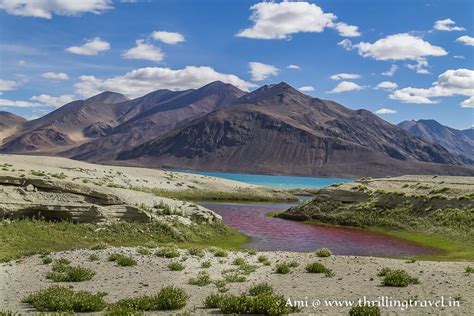 Bewitched by the 3 Idiots Lake - A Travel guide to Pangong Lake Ladakh - Thrilling Travel