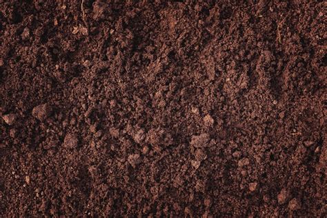 These Are The Benefits Of Loam-Based Compost (And How You Can Make Your ...