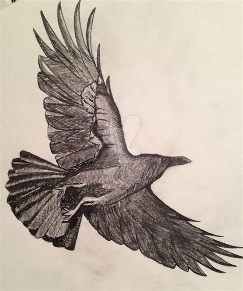 Image result for crow sketch | Crow flying, Fly drawing, Crows drawing
