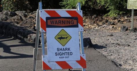 Following Maui's Latest Shark Attack, a 68-Year-Old Man on the Big ...