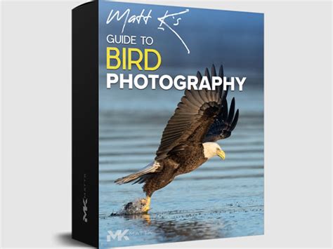 New: Bird Photography Guide