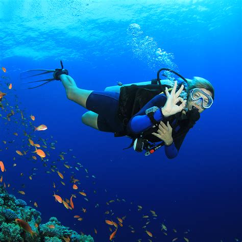 What is SCUBA Diving? SCUBA diving basics you need to know | Blue Life - Pro Diving Instructors