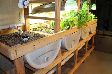 Aquaponics System Design - Selecting Grow Beds | Backyard aquaponics ...