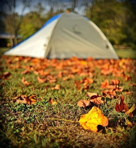 Image result for fall camping images | Camping images, Fall camping, Outdoor