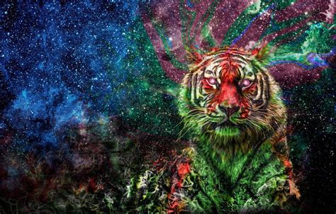 Space Tiger Wallpapers - Top Free Space Tiger Backgrounds - WallpaperAccess