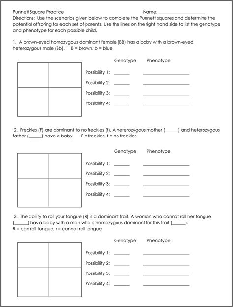 Punnett Square Practice Worksheet 7th Grade