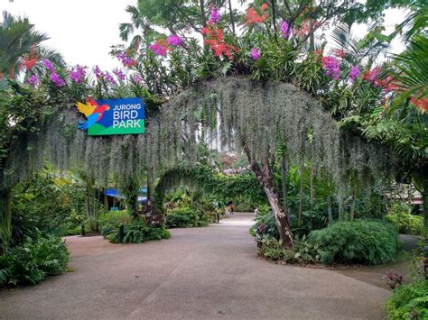 Jurong Bird Park Singapore - Opening Hours, Ticket Prices & Map