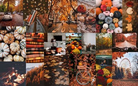 Wallpaper fall aesthetic | Desktop wallpaper fall, Fall wallpaper, Flower desktop wallpaper