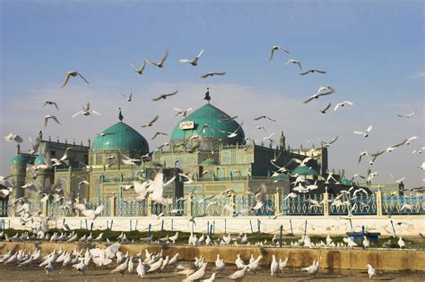 Mazar-e Sharif travel | Afghanistan - Lonely Planet