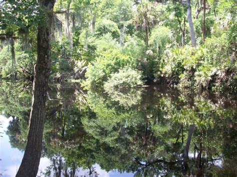 Hillsborough River Park (near Tampa, FL) | ThriftyFun