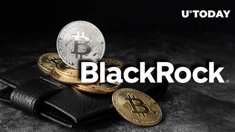 BlackRock Names Optimal Bitcoin Share in Investor's Risk Portfolio ...