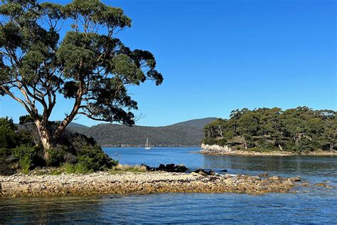 Rekindling a Tasmania love affair | RACQ