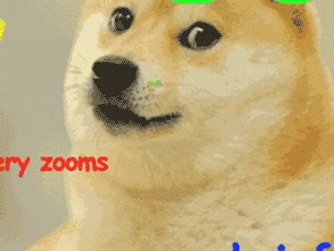 Doge GIF - Find & Share on GIPHY