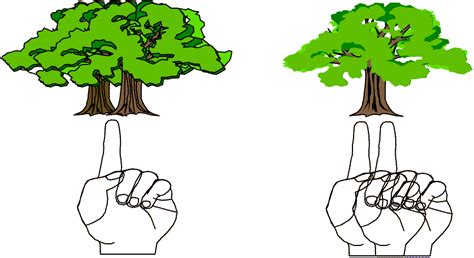 Binocular Cues Retinal Disparity