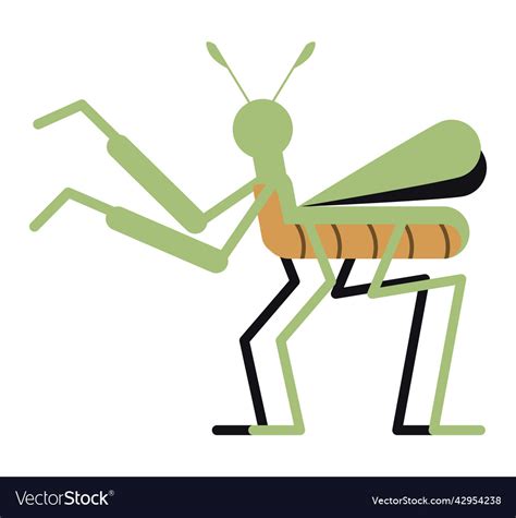 Cricket insect garden spring Royalty Free Vector Image