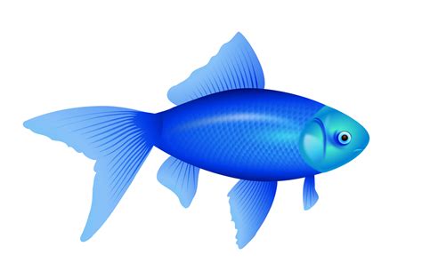 blue fish PNG image