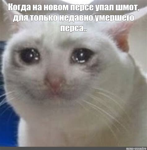 Meme: "Когда на новом персе упал шмот, для только недавно умершего ...