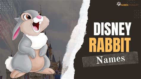 Disney Rabbit Names [Cartoon-Inspired Bunny Naming Ideas]