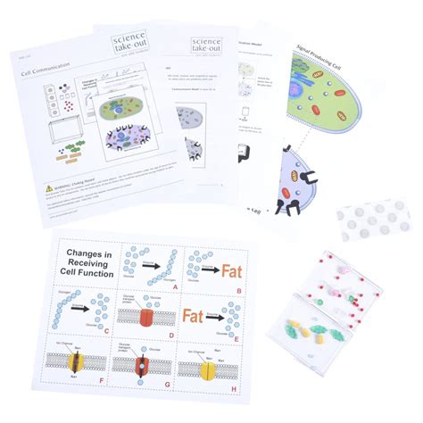 Cell Communication | Science Take-Out | Hands-On Learning Kit