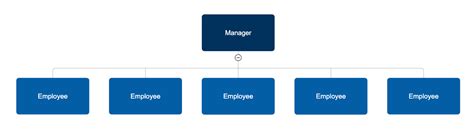 Four Types of Organizational Charts: Functional Top-Down, Flat, Divisional, and Matrix