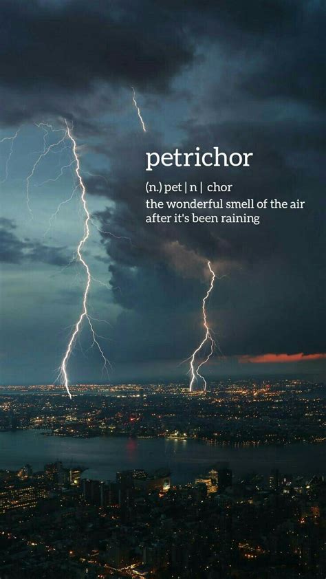 petrichor | Unique words definitions, Uncommon words, Unusual words