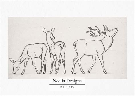 Deer Family Drawing Vintage Sketch Digital Print Wall - Etsy