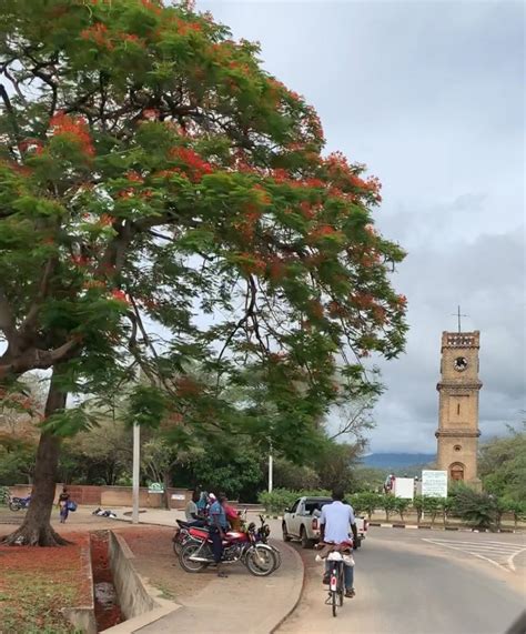 Mangochi, Malawi, Africa: A Guide to Mangochi Beaches on Lake Malawi ...