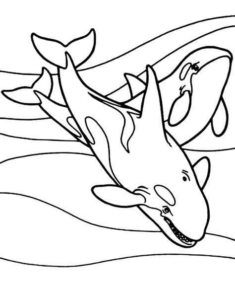 Orca Coloring Pages Printable Coloring Pages