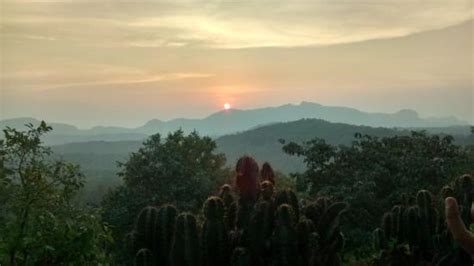 Satpura National Park (Pachmarhi) - 2020 All You Need to Know Before You Go (with Photos ...