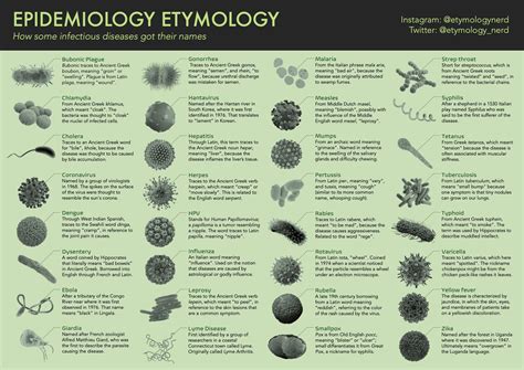 I made an infographic explaining how some infectious diseases got their ...