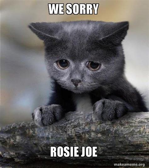 We Sorry ROSIE JOE - Confession Cat | Make a Meme