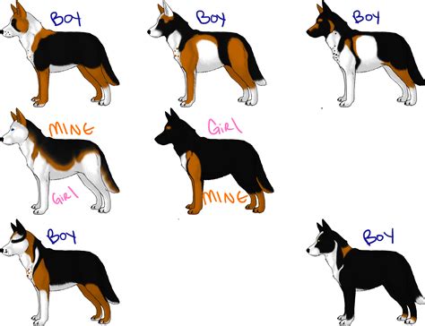 Panda German Shepherd Puppies {10 points} by OrangeCone14 on DeviantArt