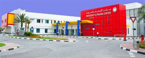 Construction works commence on Rashid Hospital expansion