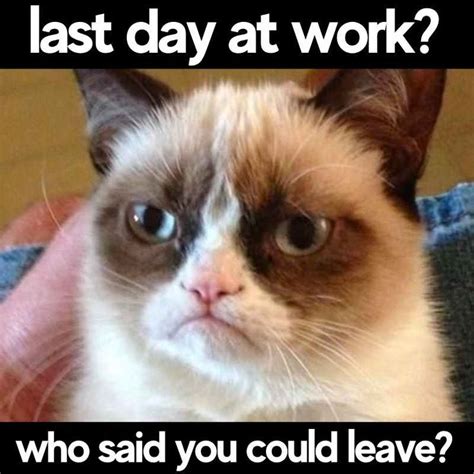 50 Hilarious Last Day Of Work Memes To Celebrate Your Freedom! | Grumpy cat humor, Funny cat ...