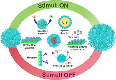 Responsive microgels and microgel assemblies in biocatalytic applications - Dubey - 2023 ...