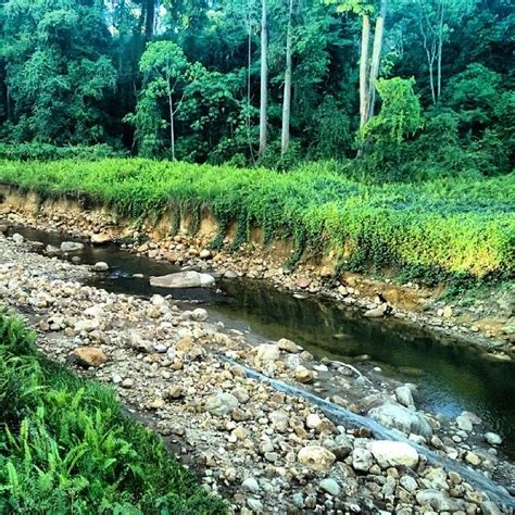 Maliau Basin | Basin, Natural landmarks, Sabah