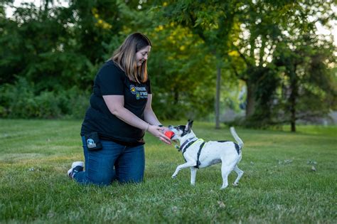 Engineering Optimism Dog Training